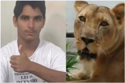 Foto da Not&iacute;cia